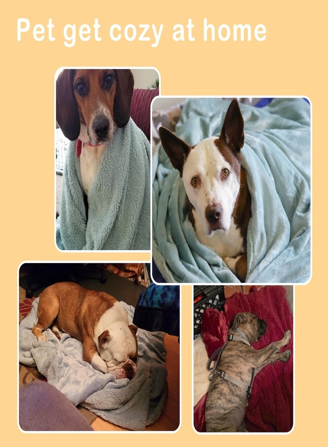 Kritter Planet Dog Blankets for Large Dogs, Super Soft Warm Sherpa Fleece Plush Doggie Blankets and Throws for Small Medium Puppy Doggy Pet Cats，50x60 inches - Image 2