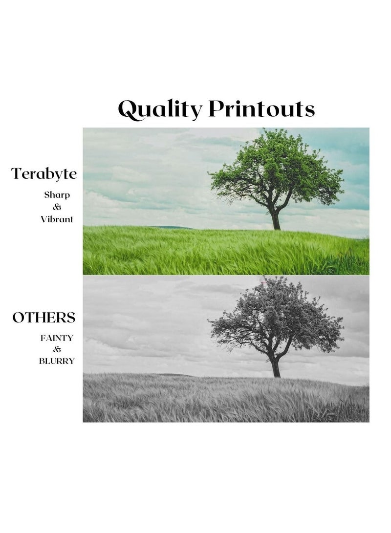 Terabyte CLT503L CYAN  COMPATIBLE TONER TERABYTE - Image 2