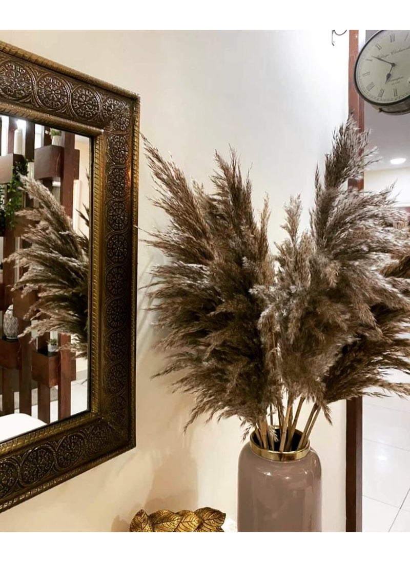 Generic 10 pcs Medium Dried Pampas Grass Reed Grass uses in Decoration of Homes Parties Weddings etc  - Image 1