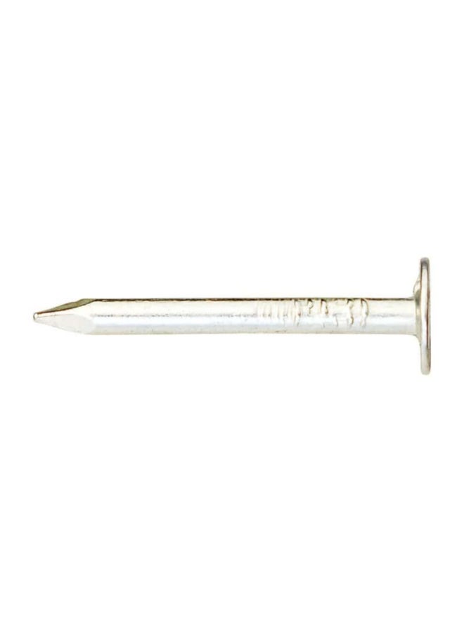 ACE Electro-Galvanized Smooth Shank Roofing Nails Silver 1inch ACE5188016  - Image 2
