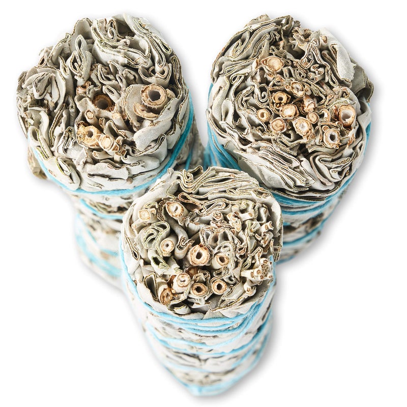 BLUE RIVER SAGE 9-Inch White Sage Smudge Sticks ~ Sustainably Harvested ~ for Smudging & Cleansing ~ Instructions Included (3 Pack) - Image 4