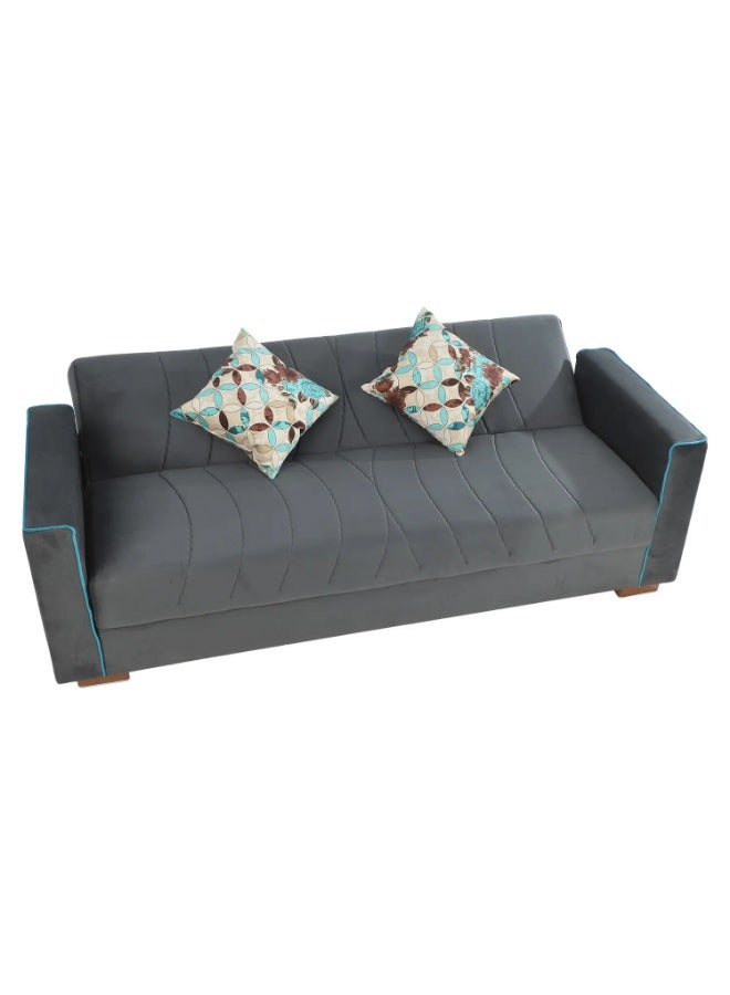 Sofa - Chaise Lounge - Bed 210*100 cm + 2 Cushions - Image 2
