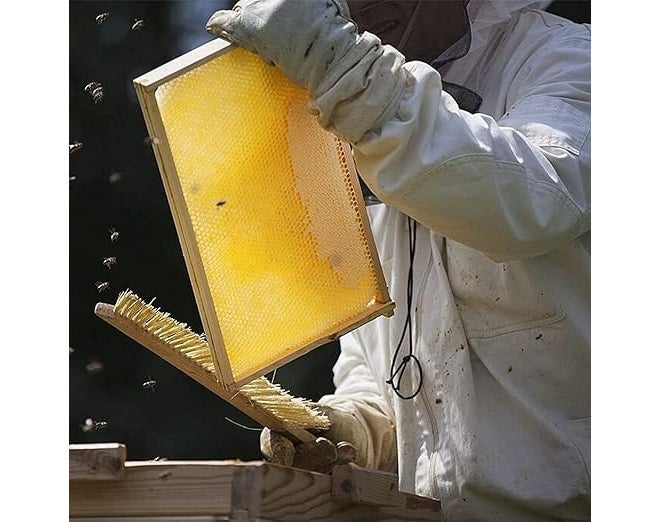 KB Care Products تناغم الشمع: 20 قطعة من أوراق شمع العسل لتجربة تربية النحل (أصفر) (20) - Image 2