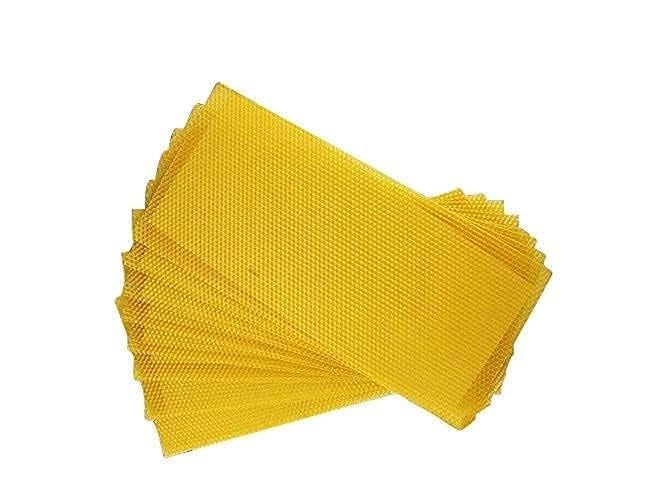 KB Care Products تناغم الشمع: 20 قطعة من أوراق شمع العسل لتجربة تربية النحل (أصفر) (20) - Image 1