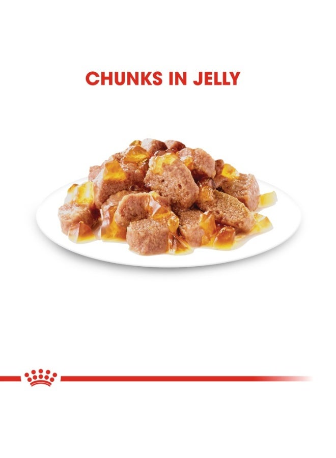 ROYAL CANIN Feline Health Nutrition Ageing 12+ Jelly (WET FOOD - Pouches) 12 x 85g - Image 3