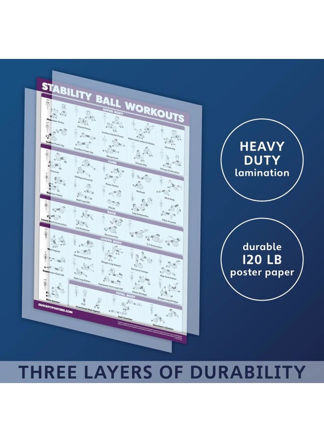Palace Learning 2 Pack: Half Balance Ball Workout Poster + Yoga Ball Exercise Chart - Set of 2 Workout Posters (LAMINATED, 18" x 24") - Image 3