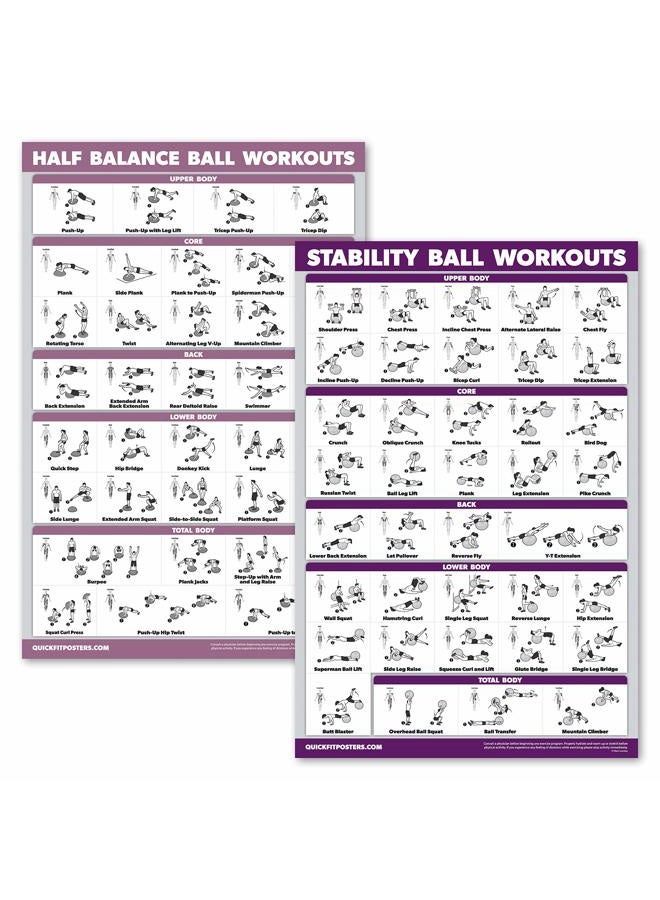 Palace Learning 2 Pack: Half Balance Ball Workout Poster + Yoga Ball Exercise Chart - Set of 2 Workout Posters (LAMINATED, 18" x 24") - Image 1