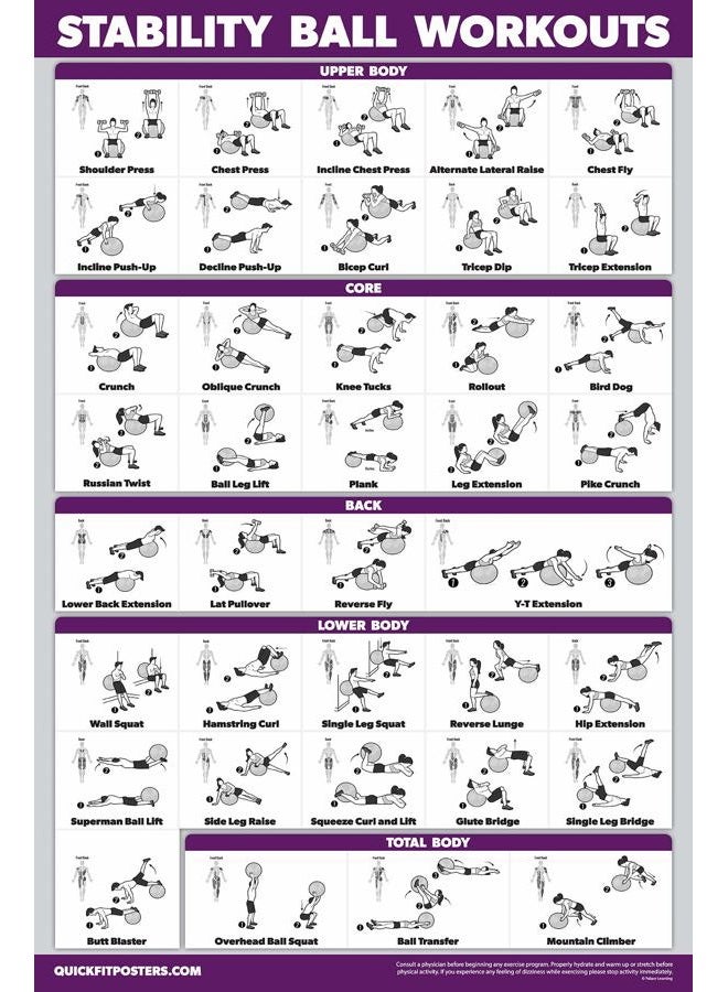 Palace Learning 2 Pack: Half Balance Ball Workout Poster + Yoga Ball Exercise Chart - Set of 2 Workout Posters (LAMINATED, 18" x 24") - Image 4