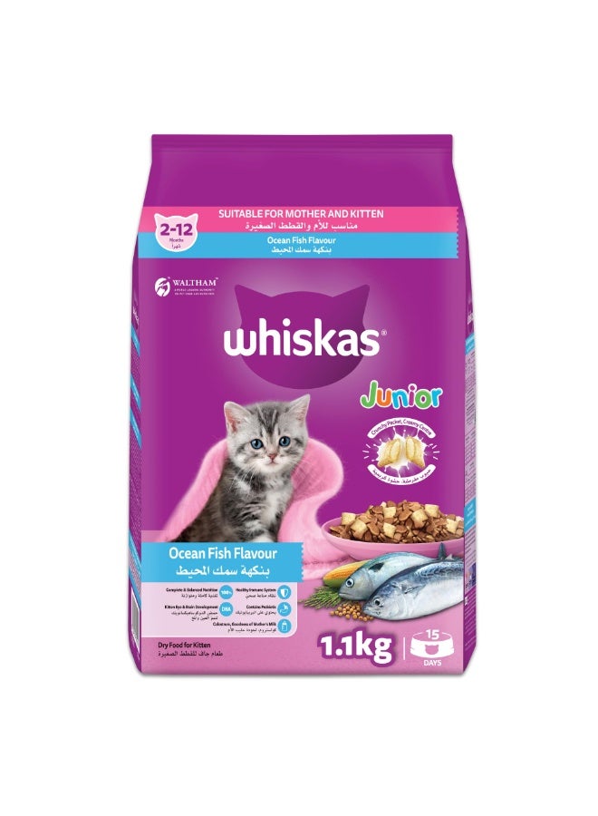 ويسكاس طعام القطط الجاف ويسكاس جونيور، مناسب للأم والقطط الصغيرة - بنكهة سمك المحيط، 1.1 كجم