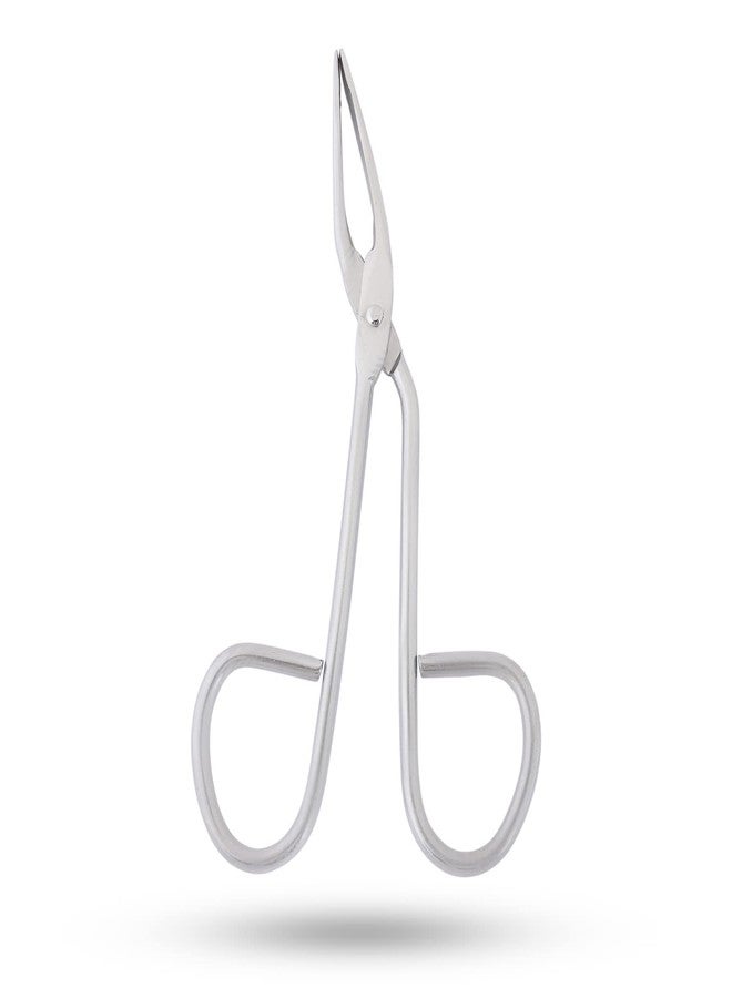 Precise Canada: Eyebrow Tweezer Stainless Steel Scissors Shaped Slant Tip Tweezer Clip - Image 1