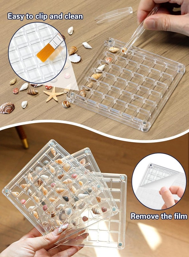 Padike Seashell Display Box – 36 Grid Clear Acrylic Shell Holder & Organizer Case with Magnetic Lid for Sea Shell Collection, Crystals & Mini Collectibles - Image 3