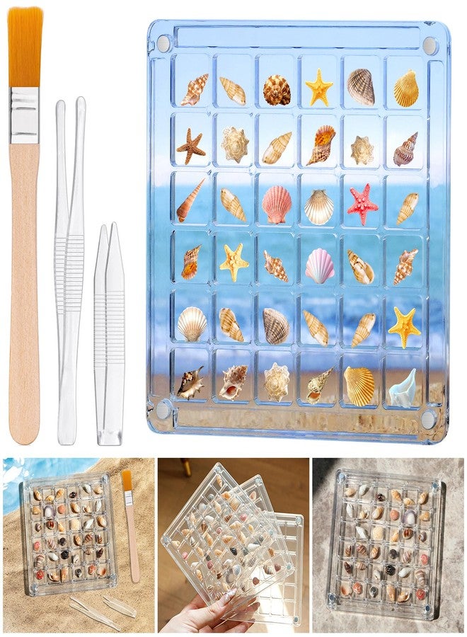 Padike Seashell Display Box – 36 Grid Clear Acrylic Shell Holder & Organizer Case with Magnetic Lid for Sea Shell Collection, Crystals & Mini Collectibles - Image 1