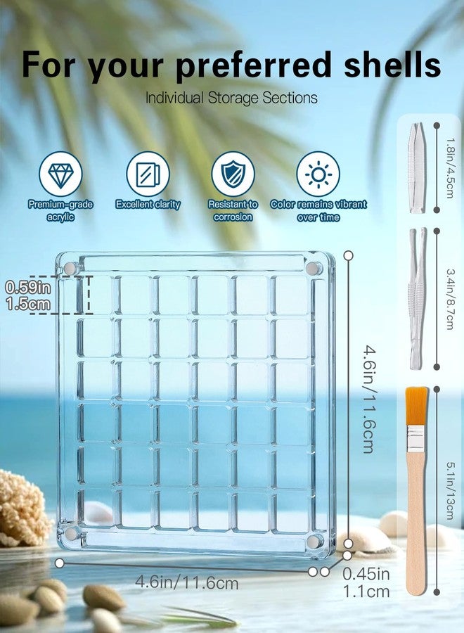 Padike Seashell Display Box – 36 Grid Clear Acrylic Shell Holder & Organizer Case with Magnetic Lid for Sea Shell Collection, Crystals & Mini Collectibles - Image 4