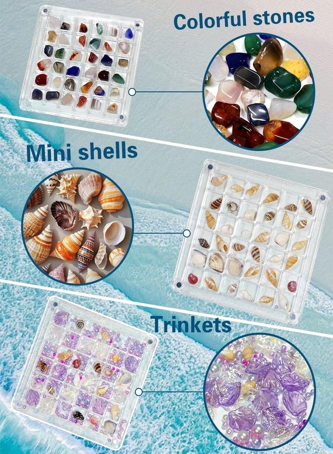 Padike Seashell Display Box – 36 Grid Clear Acrylic Shell Holder & Organizer Case with Magnetic Lid for Sea Shell Collection, Crystals & Mini Collectibles - Image 5