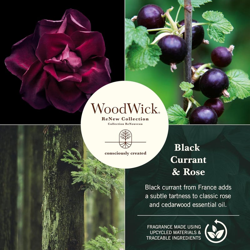 وودويك شمعة WoodWick Renew عطرية بفتيل متشقق | شمعة كبيرة الحجم بنكهة التوت الأسود والورد | مزيج من شمع الصويا وجوز الهند النباتي | مصنوعة من مواد معاد تدويرها - Image 2