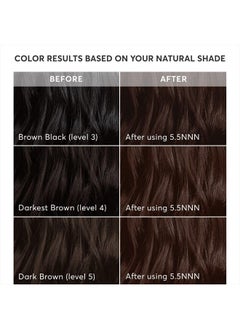 Madison Reed Radiant Hair Color Kit, Permanent Hair Dye, 100% Gray Coverage, Ammonia-Free, Modena Brown 5.5NNN Medium Brown for Resistant Grays, Pack of 1  - Image 5