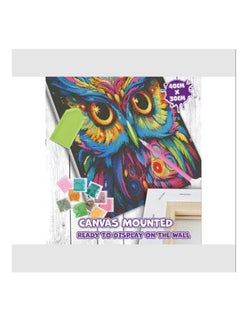 Splat Planet Owl Diamond Art Kit, Size: 40 cm x 30 cm - pzsku/ZCF93EC25DF51A7A24C37Z/45/_/1733591441/47f0b6e4-95d1-4cec-a614-eb2976062499