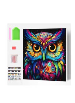 Splat Planet Owl Diamond Art Kit, Size: 40 cm x 30 cm - pzsku/ZCF93EC25DF51A7A24C37Z/45/_/1733591454/42948df7-90c5-4deb-b101-bb196476f9fc