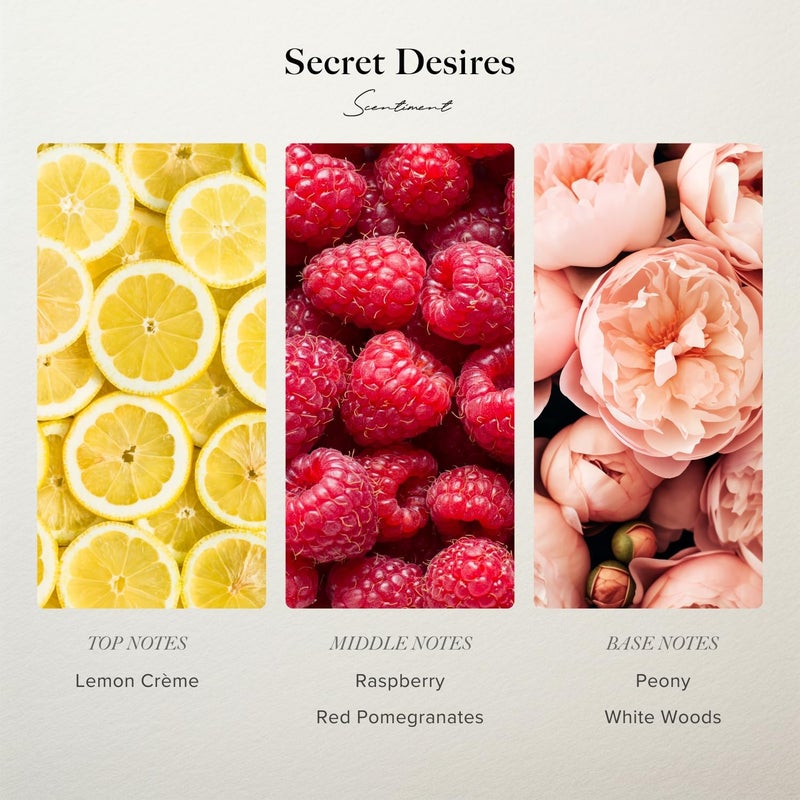 Scentiment - Secret Desires Hotel Collection Diffuser Oil | Aromatherapy Fragrance Inspired by 5-Star Hotels | Luxurious Scent with Notes of Lemon Crème, Raspberry, Pomegranate & Peony (120ml) - Image 2