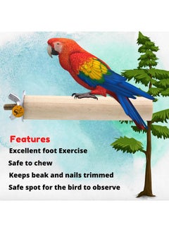 Sage Square Normal & Sand Perch Combo Of 6, 8 & 12 Inches Natural Wood Rough Sand Perches Grinding Nail | Playstand, Training, Cage Accessories |Finches, Parrot, Budgies, Cockatiels (Pack Of 3)  - Image 3