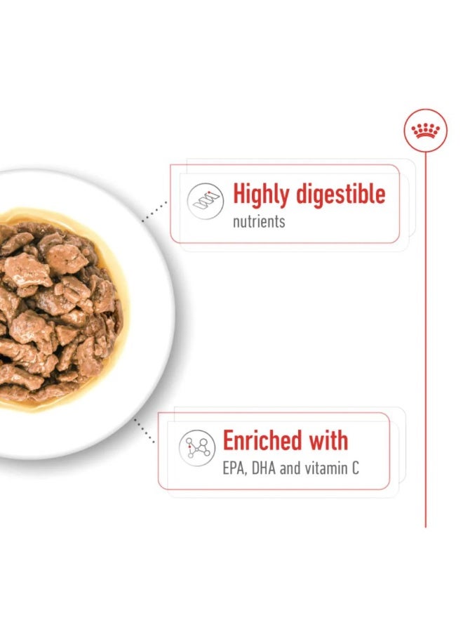 رويال كانين طعام رطب للكلاب البالغة من رويال كانين - حجم XS - Image 4