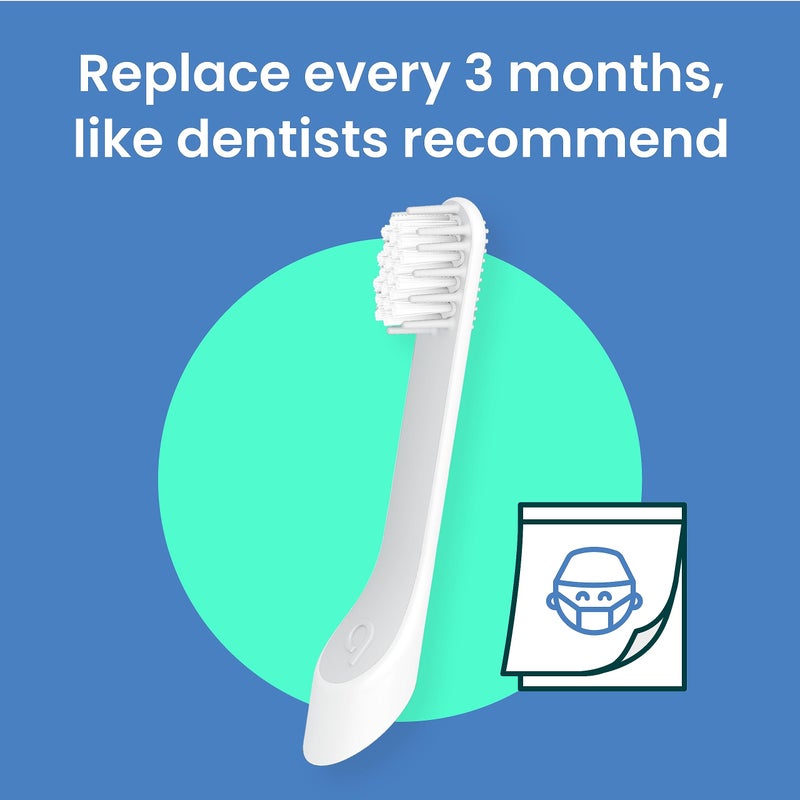 quip Sonic Toothbrush Replacement Heads for Kids - 3 Pack - Verified quip Small Brush Head Refills for Electric Toothbrushes - Soft Bristles, Compact & Flexible - Last 3 Months Each - Image 5