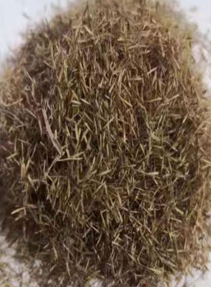 GGOOT 50Pcs Grass Seeds DIY Grow Kit Easy Planting Brightly Colored Bonsai Garden Flower Seeds for Balcony Seed 1size - Image 4