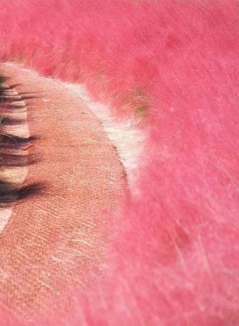 GGOOT 50Pcs Grass Seeds DIY Grow Kit Easy Planting Brightly Colored Bonsai Garden Flower Seeds for Balcony Seed 1size - Image 1