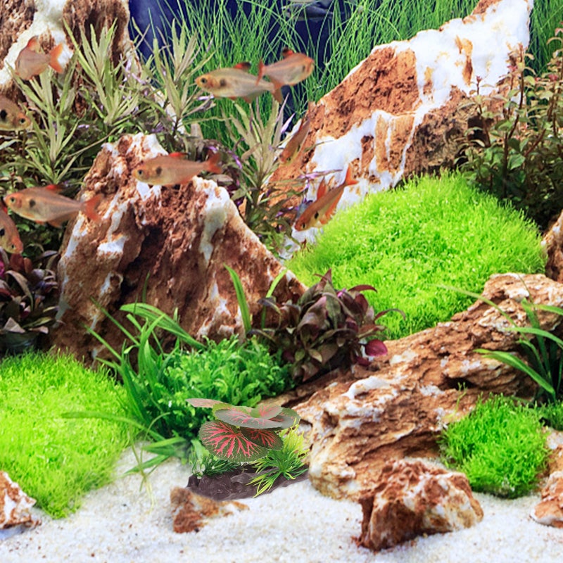 Artificial Plant Aquarium Plant Simulated Plant Aquarium Landscape Decoration - Image 5