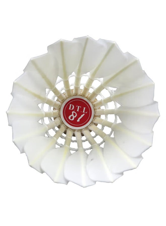 Rsl Badminton Training Practice Compeion Shuttle, Dtl-81, Speed 76, 12 Pieces Per Tube - Image 3