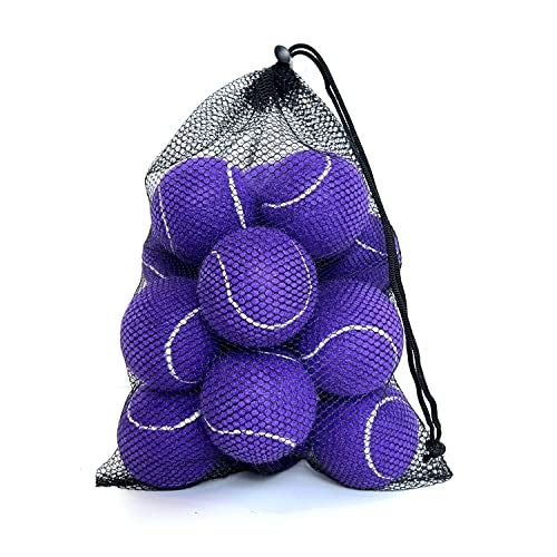 HPWFHPLF Tennis Balls, 12 Pack Advanced Training & Practice Tennis Balls for Beginners, Pet Dogs Playing Balls, Includes Mesh Carry Bag (Purple) - Image 1