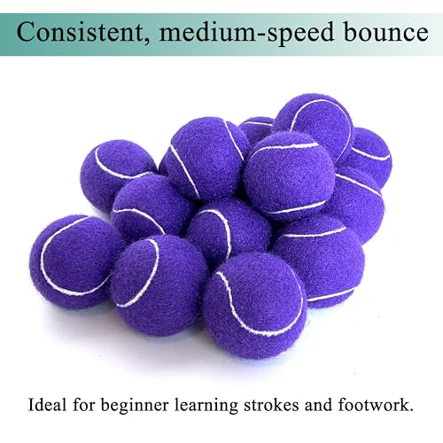 HPWFHPLF Tennis Balls, 12 Pack Advanced Training & Practice Tennis Balls for Beginners, Pet Dogs Playing Balls, Includes Mesh Carry Bag (Purple) - Image 4