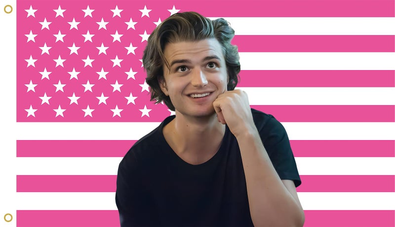 MAGJIUKE Steve Harrington Pink American Flag Tapestry, 3x5 Feet Polyester Wall Hanging with Brass Grommets, Horizontal Rectangular Design for Bedroom Studio Decor, Indoor Outdoor Usage - Image 1