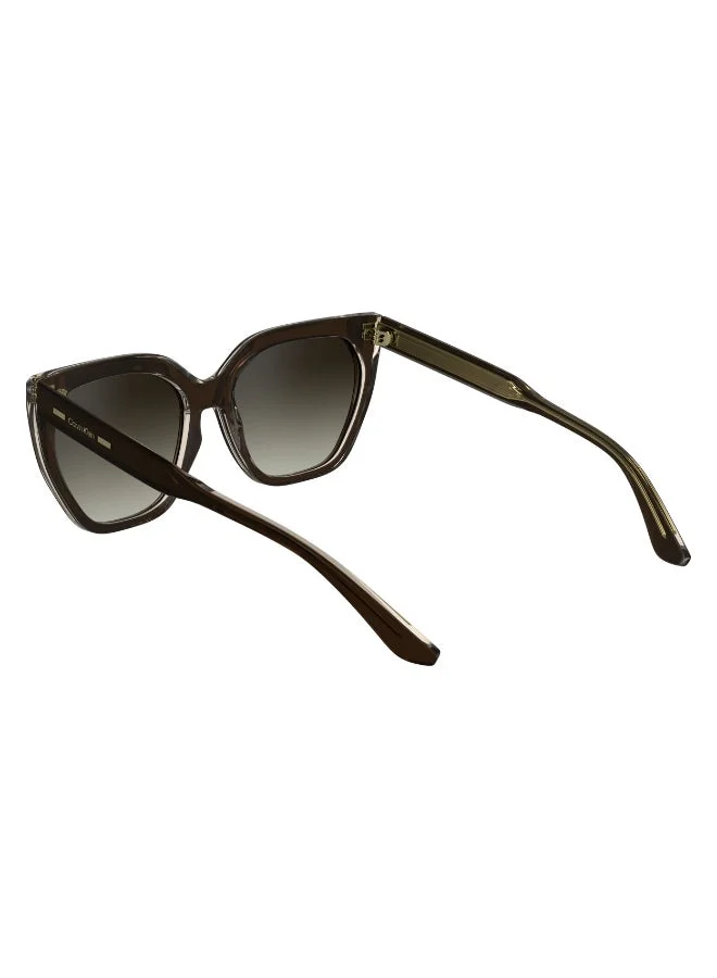CALVIN KLEIN  FULL RIM ACETATE CALVIN KLEIN SUN CK24535SN  | Best Price UAE
