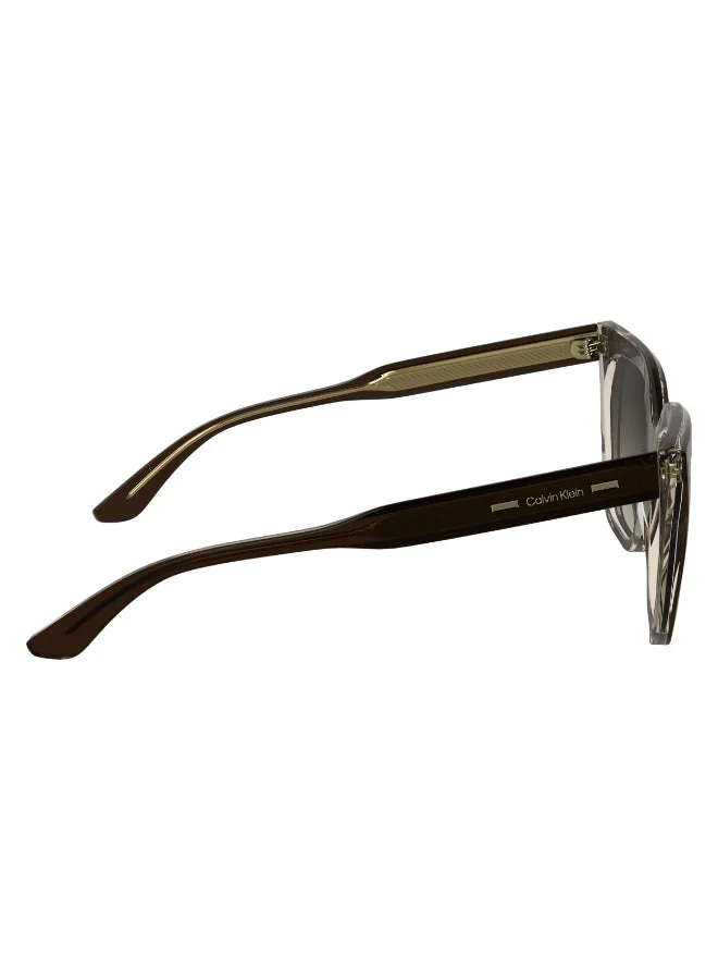 CALVIN KLEIN  FULL RIM ACETATE CALVIN KLEIN SUN CK24535SN  | Best Price UAE