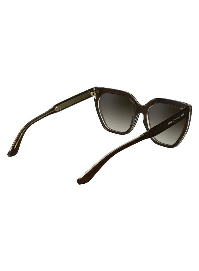 CALVIN KLEIN  FULL RIM ACETATE CALVIN KLEIN SUN CK24535SN  | Best Price UAE