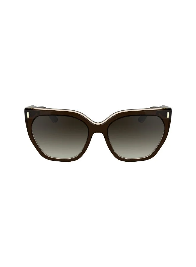 CALVIN KLEIN  FULL RIM ACETATE CALVIN KLEIN SUN CK24535SN  | Best Price UAE