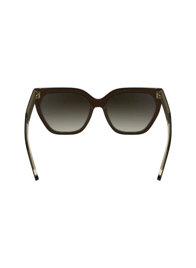 CALVIN KLEIN  FULL RIM ACETATE CALVIN KLEIN SUN CK24535SN  | Best Price UAE