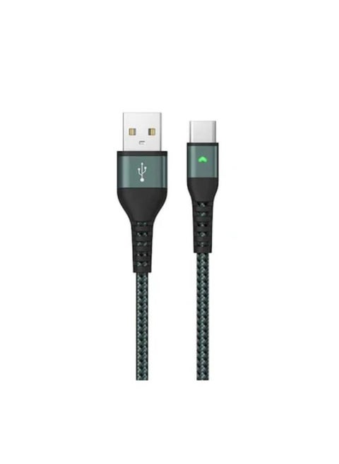 Lanex 3A USB to Type-C Cable LTC-N14C