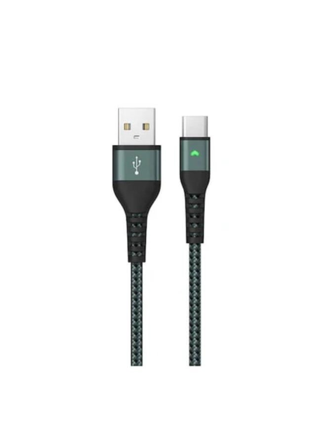LANEX - Lanex 3A USB to Type-C Cable LTC-N14C - Image 1