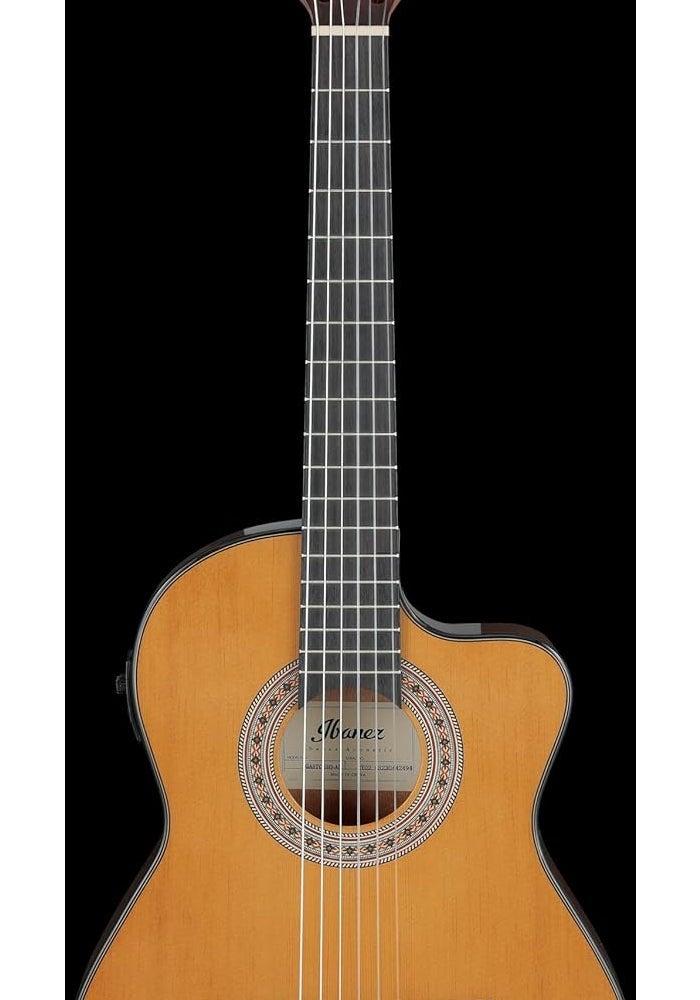 Ibanez غيتار إيبانيز الكلاسيكي الكهربائي الصوتي - حجم 3/4 - Image 2