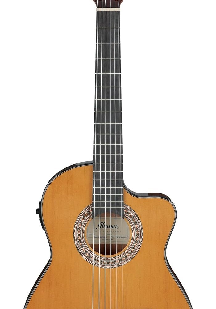 Ibanez غيتار إيبانيز الكلاسيكي الكهربائي الصوتي - حجم 3/4 - Image 1