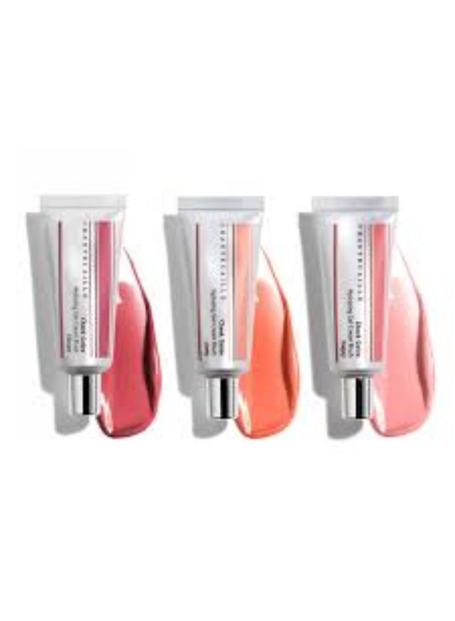 تشانتيكايل Chantecaille Cheek Gelée حيوي 22 جم - Image 4