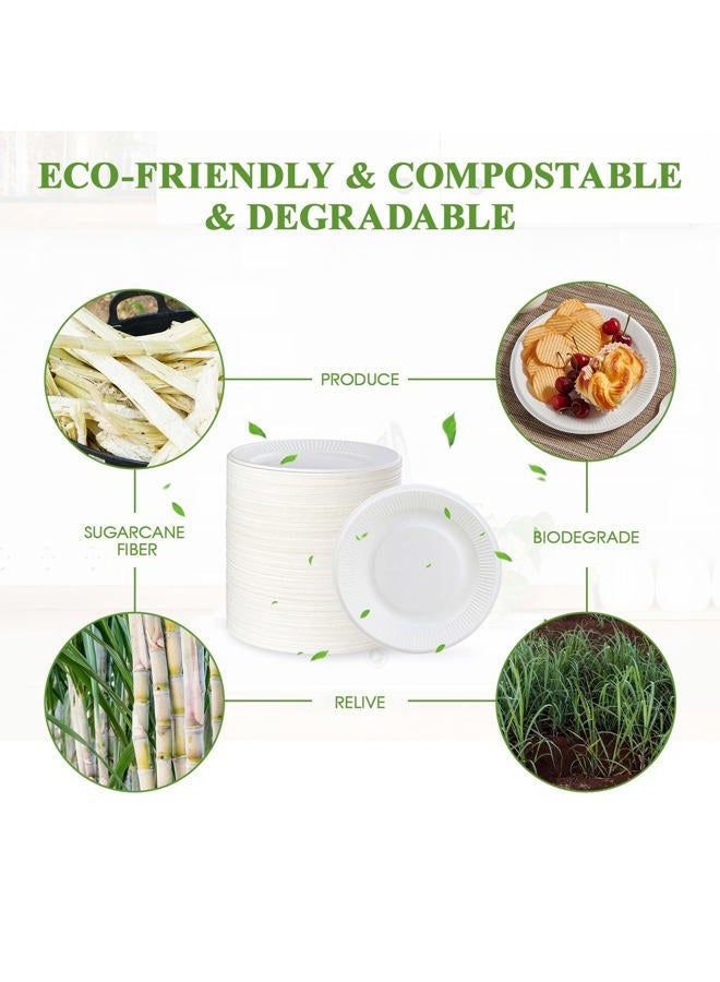 Vplus 100% Compostable Paper Plates, 300 Pack 6 Inch Disposable Paper Plates, Uncoated Biodegradable Plates Made of Sugar Cane Fibers, Perfect for Sandwich, Cake, and Snack - Image 5