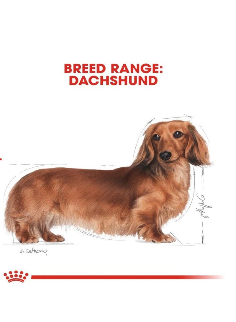 رويال كانين صحة وتغذية سلالة داشهند البالغ 1.5 كجم - Image 2