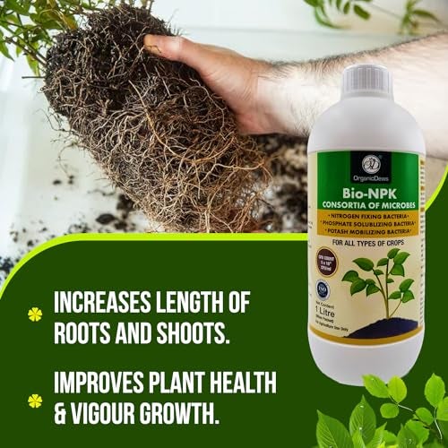 OrganicDews Bio NPK consortia (5x10^8 CFU/ML) Bio Inoculum Fertilizer (1 Litre) for Plants - Soil Fertility, Faster Plant Growth and Increases the Yield 1 Litre - Image 5