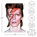 Aquarius David Bowie Aladdin Sane 500 Pc Jigsaw Puzzle - Image 4