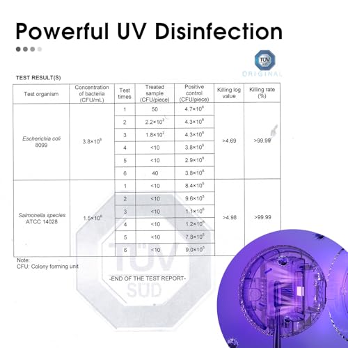 iHave معقم فرشاة الأسنان iHave – حوامل فرشاة الأسنان UV المثبتة على الحائط للحمامات، ملحقات حمام أنيقة وديكور حمام للمنزل وRV، أساسيات السفر، أدوات رائعة (أبيض) - Image 3