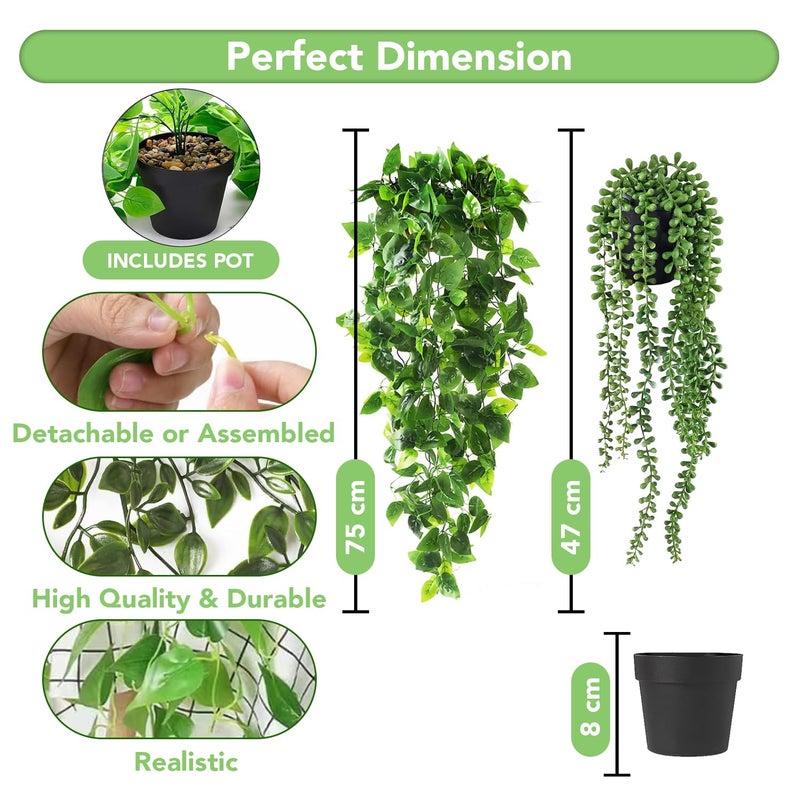 Ekhasa Nostrae Hanging Artificial Plants with Pot (Set of 2) | Money Plant Artificial Hanging Plants for Decor | Falling Creepers Climbers Fake Vines with Pots (String of Pearls, Golden Pothos) - Image 2