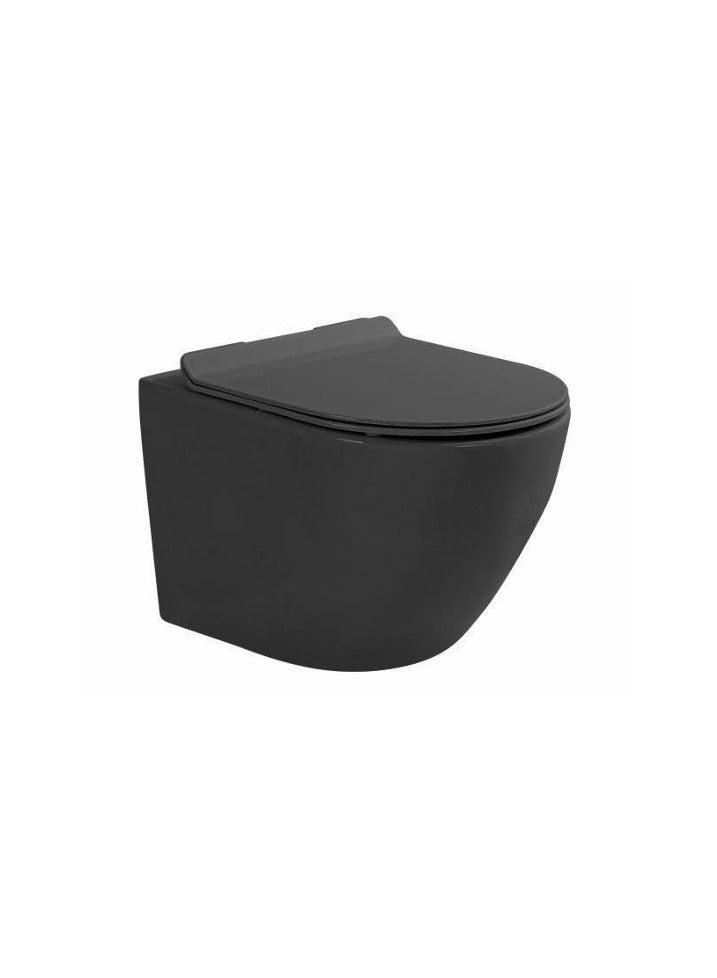 SONET 3060-Matt Black Wall-hung Toilet P-trap - Image 1